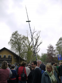 Maibaumfest Puchheim-Bhf. 2013